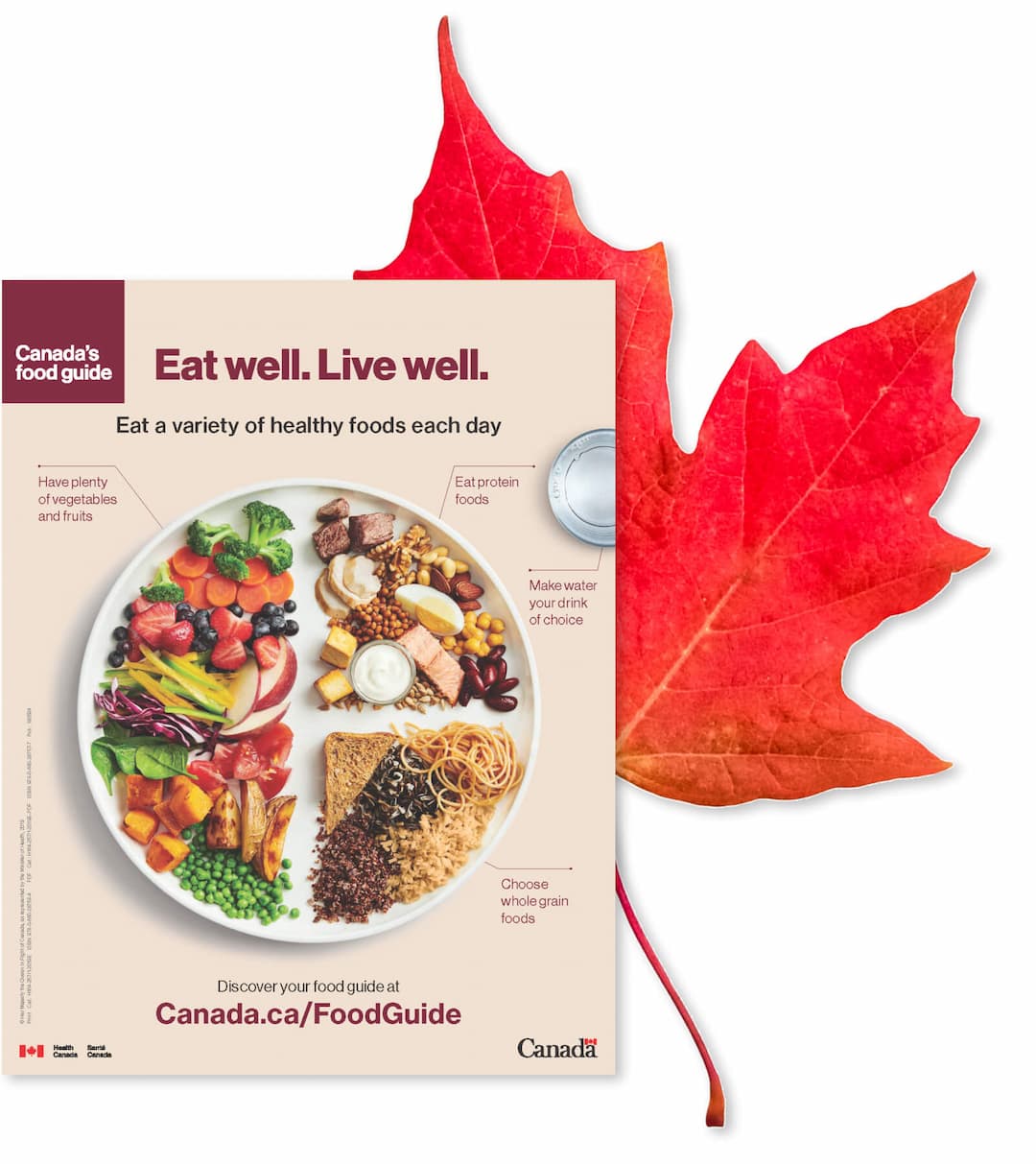 A picture of canada's food guide.