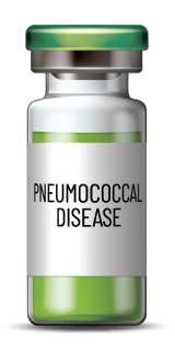 A picture of a Pneumococcal disease Bottle.